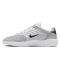 Nike SB Vertebrae Platinum Tint
