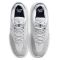 Nike SB Vertebrae Platinum Tint