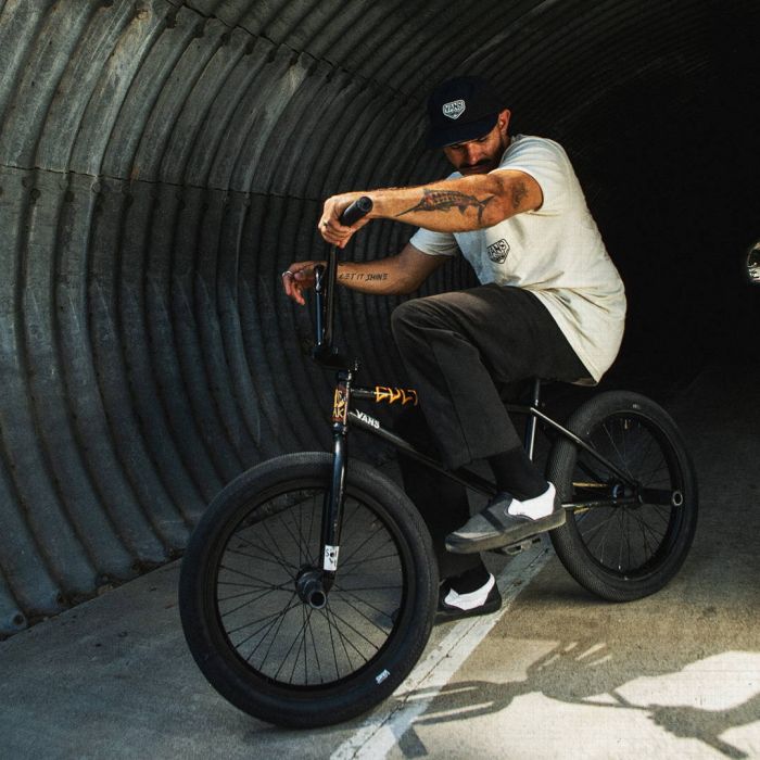 Vans BMX Slip-On (Dakota Roche) Black/White